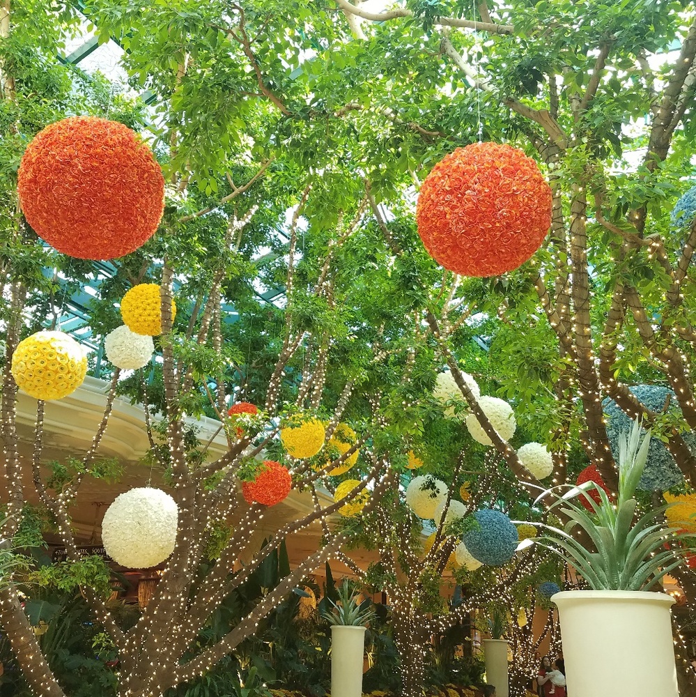 Meet your Posher, Cris